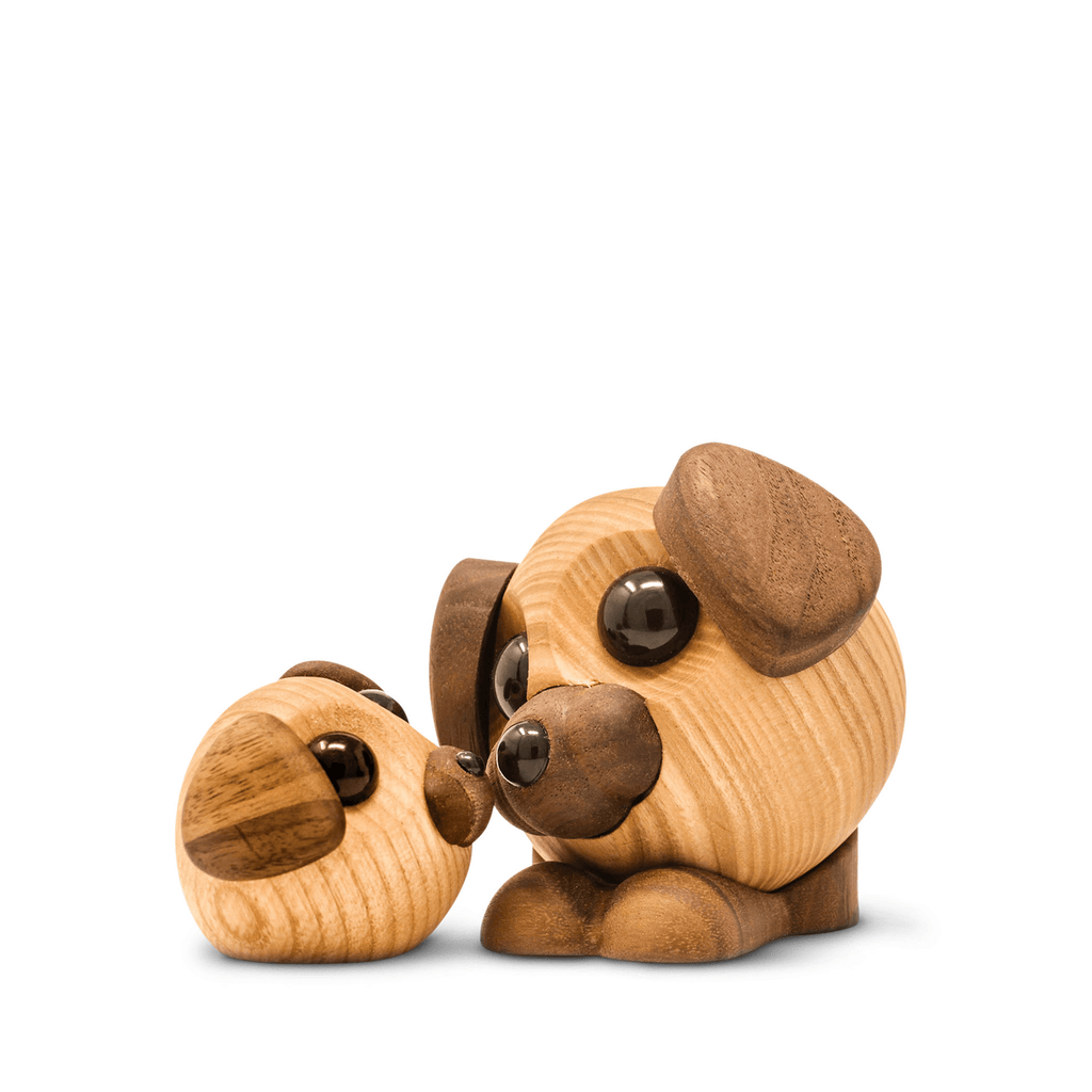 Buddy - den store hund
