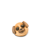 Molly - the little dog