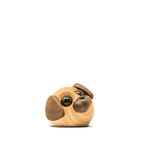 Molly - the little dog