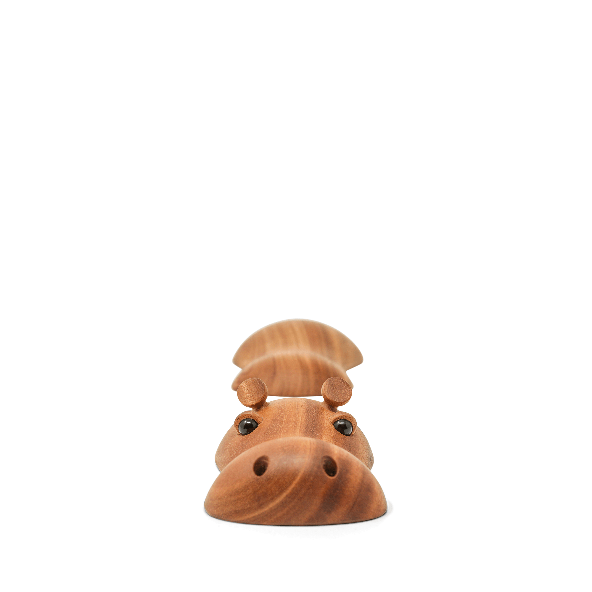Hubert - the little Hippo